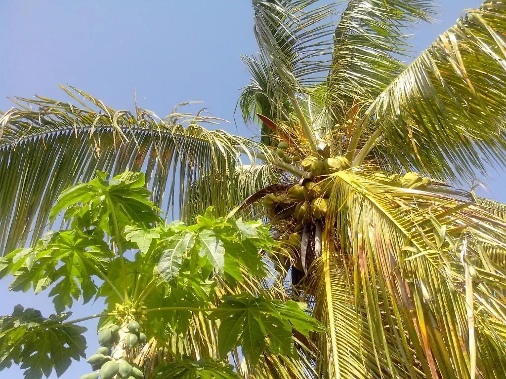 Lägenhetshotell Maison Des Alizes Gros Cap Guadeloupe