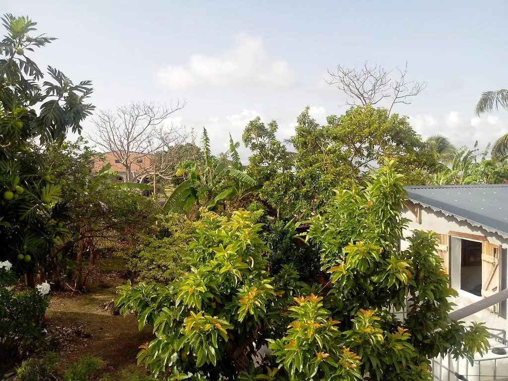 Aparthotel Maison Des Alizes Gros Cap